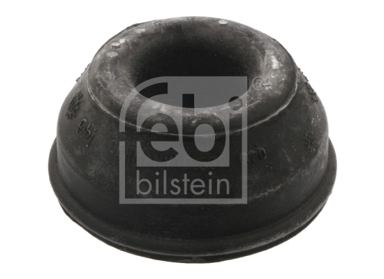 Mounting, control/trailing arm